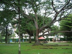 Morley Road (D10), Detached #458526831